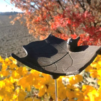 Bains d'oiseaux à planter