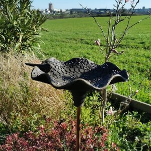Bain d'oiseaux dentelle pour massif en grès noir