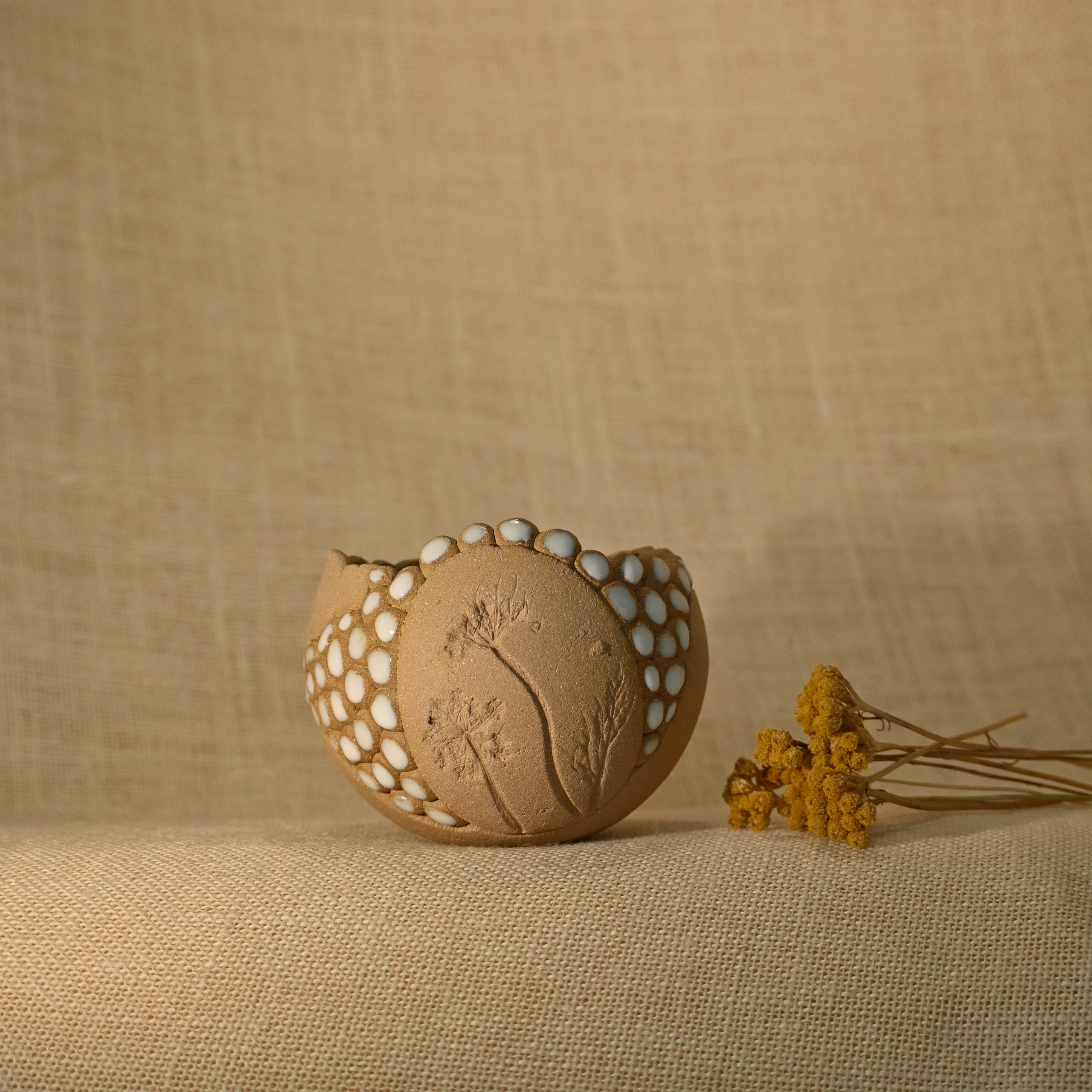 POT TM Fleur de carotte