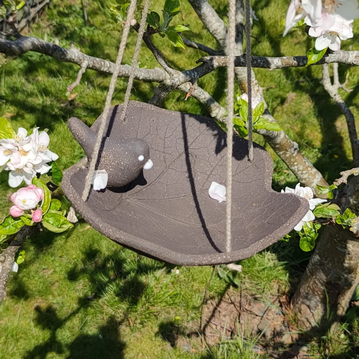 IMG_20230503_075533_423