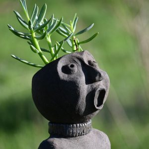 Bouille Ho – Pot pour succulente