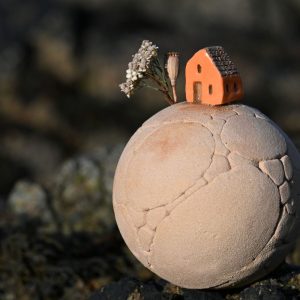 Seul sur ma planète Fleurie